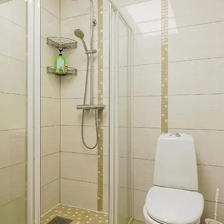 Spacious With Sauna In City Center טאלין